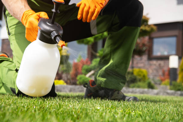 Best Affordable Pest Control Services  in Grill, PA